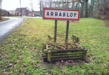 Tour Wandern Gien - Arrabloy  - Photo