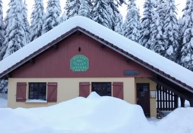 Tocht Stappen Ventron - Vers la Chaume du Grand Ventron  - Photo