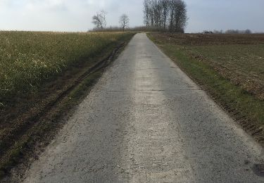 Trail Walking Kruisem - Wannegel-Lede en Mullem - Photo