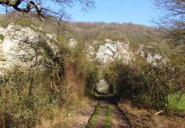 Trail Walking Dinant - Balade sur les rives et les crêtes de Haute-Meuse - Photo