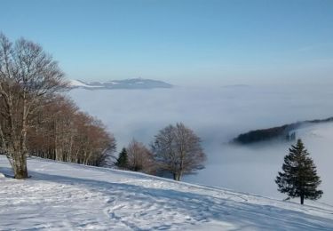 Tocht Stappen Ventron - Chaume des Vintergés et Haut de Felsach - Photo