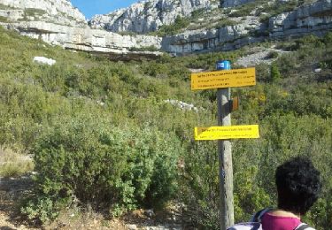 Tour Wandern Aubagne - alcazar3 garlaban - Photo