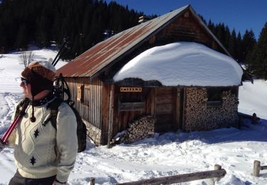 Tour Schneeschuhwandern Bellevaux - Alpage de Pététoz - Photo