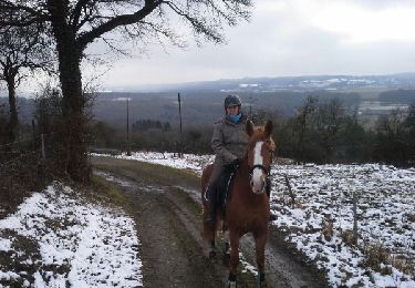 Trail Equestrian Hamoir - balade tranquille littlecreek - Photo