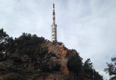 Randonnée Course à pied Saint-Raphaël - Le Trayas en boucle - Photo