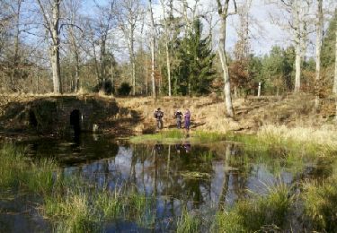 Tocht Stappen Fontainebleau - 150304-GLM - Maintenon-MareEpisy - Photo