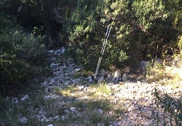 Tocht Stappen Marseille - Forêt domaniale des calanques 2 - Photo