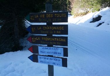 Tour Schneeschuhwandern Nanchez - Prénovel - Les Piards - Photo