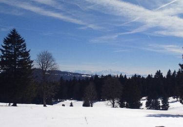 Randonnée Raquettes à neige Les Fourgs - Les Fourgs - Photo