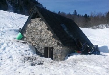 Percorso Racchette da neve Lées-Athas - cabane d'icheous - Photo