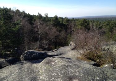 Randonnée V.T.T. Fontainebleau - Trail VTT à partir de Fontainebleau - Photo