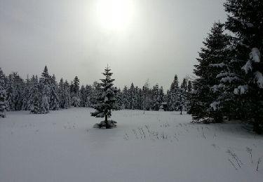 Excursión Raquetas de nieve Bouvante - chaud clapier jjujufrey - Photo