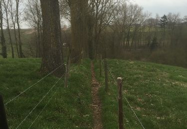 Tour Wandern Maarkedal - Schorisse Vlaamse Ardennen - Photo