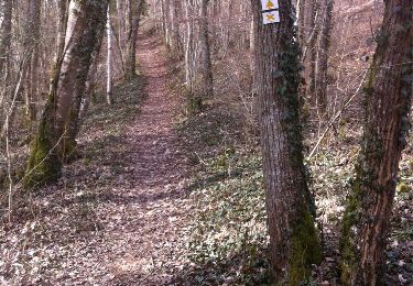 Trail Walking Domrémy-la-Pucelle - sur les pas de Jeanne d'Arc - Photo