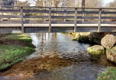 Tocht Stappen Raon-aux-Bois - Boucle de Raon-aux-Bois - Photo