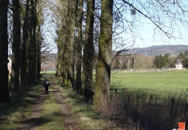 Trail Walking Raeren - RB-Lg-30_Hauset - Photo