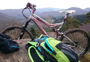 Trail Mountain bike Climbach - le rocher des Corbeaux.  - Photo