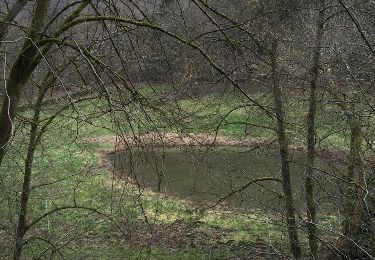 Tour Andere Aktivitäten Nouzonville - VALLÉE DE NAIDIMONT - Photo