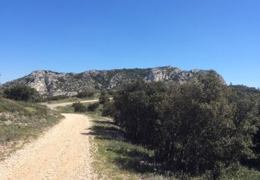 Trail Walking Eygalières - PF-Eygalières - Chemin du Mas de Pascal - Photo