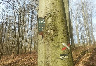 Trail Walking Linkebeek - Linkebeek - Photo