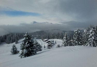 Tour Andere Aktivitäten Les Gets - les gets - Photo