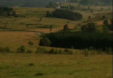 Tocht Mountainbike Montaillou - 2010-07-10 - 18h29m17 - Photo