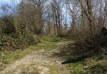 Trail Walking Houyet - custinne 18 - Photo