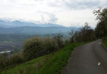 Tocht Mountainbike Arbin - les vignes et la combe de Savoie  - Photo
