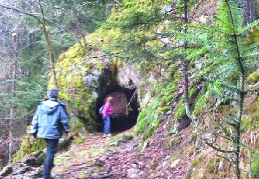 Trail Walking Arvillard - Tunnels de Saint-Hugon-2 - Photo