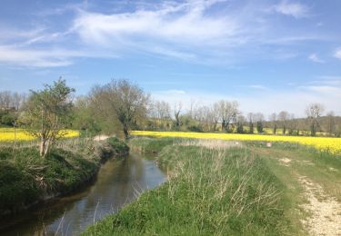 Tocht Andere activiteiten Villepreux - velo vtt - Photo