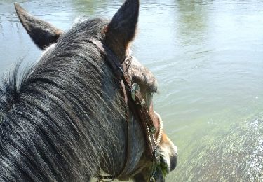Percorso Cavallo Trondes - baignade Troussey - Photo