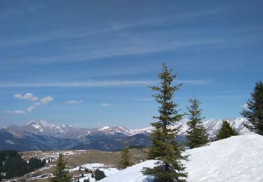 Trail Walking Manigod - sur les Fretes - Photo