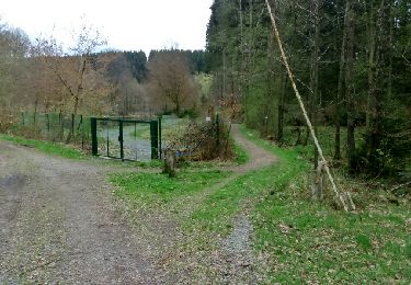 Tour Wandern Habich - Fagne Jean-Simon (version courte) - Photo