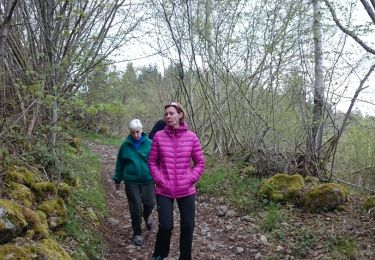 Trail Walking Apinac - Chemin des pierres  - Photo