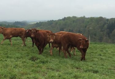 Trail Other activity Houyet - Marche ADEPS à Celles 15 km du 1er mai 2015 - Photo