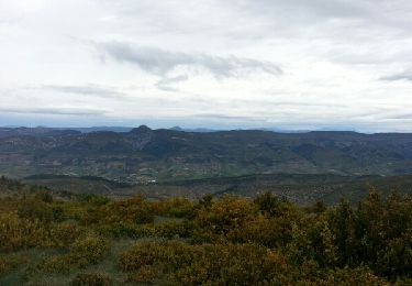 Tour Mountainbike Buis-les-Baronnies - Rando Buis les barronies - Photo