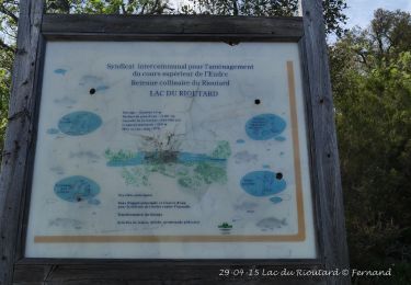 Tour Wandern Fayence - Lac du Rioutard 2 - Photo
