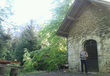 Tocht Stappen Mouxy - Chapelle Ste Victor-Montatant - Photo