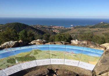 Randonnée Marche Collioure - COLLIOURE 66 - Ermitage ND de consolation - tour MADELOC - Photo