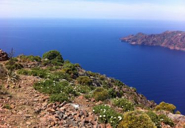 Trail Walking Osani - Monte SENINO  - Photo