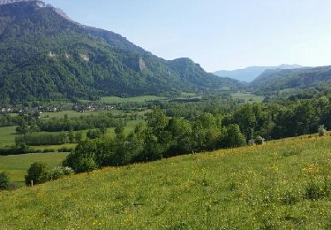 Tour Wandern Saint-Laurent-du-Pont - Boucle des Perron - Photo