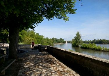 Tocht Stappen Briare - Le Pont-canal de Briare - Photo