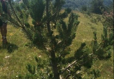 Tocht Stappen Saint-Auban-d'Oze - trek3 - Photo