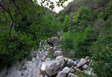Tour Wandern Sales de Llierca - Gorges de St Aniol Sadernes - Photo