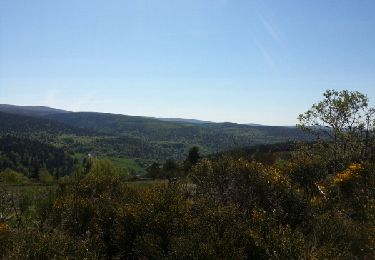 Tocht Stappen La Bastide-Puylaurent - Bastide Station du Mont Lozère - Photo