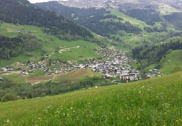 Tocht Stappen Beaufort - Au dessus d Arreches - Photo