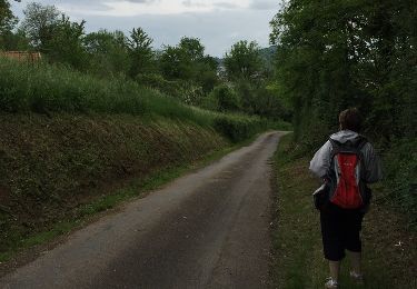 Trail Walking Vesoul - parcours des femmes de combats entre vesoul et NAVENNE - Photo