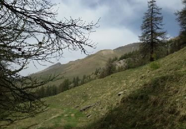 Trail Walking Ceillac - Cabane et pont de la Lavine - Photo