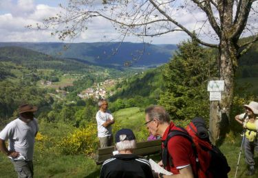 Randonnée Marche Basse-sur-le-Rupt - Vosges-150517 - SentierPointsVue - Photo