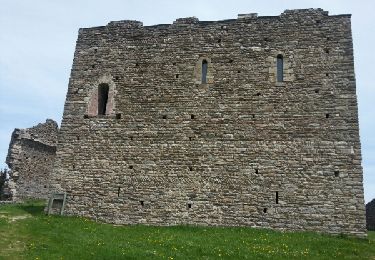 Tour Wandern Langogne - Brugeyroles Bastide Puy Laurent - Photo